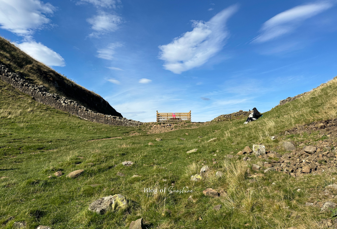 sycamore gap short walk