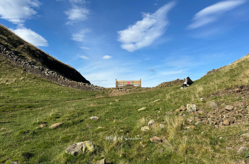 sycamore gap short walk