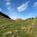 sycamore gap short walk