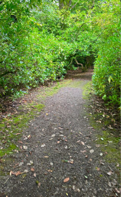 Armathwaite-Hall-Walk-to-the-Lake-1