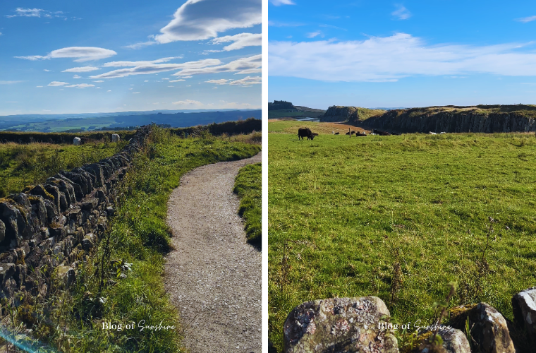 BOS-Sycamore-Gap-Walk-From-Car-Park