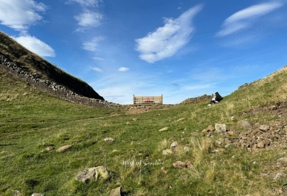 bos-sycamore-gap-short-walk-1