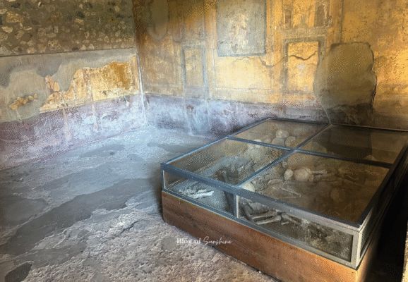 Skeletal remains displayed in a glass case inside a frescoed room in the House of the Vettii, Pompeii