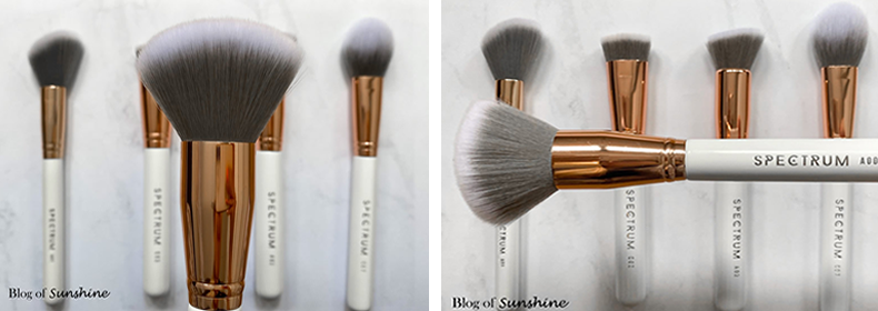 Spectrum A00 Luxe Powder Brush