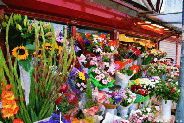 szczecin-market-flowers