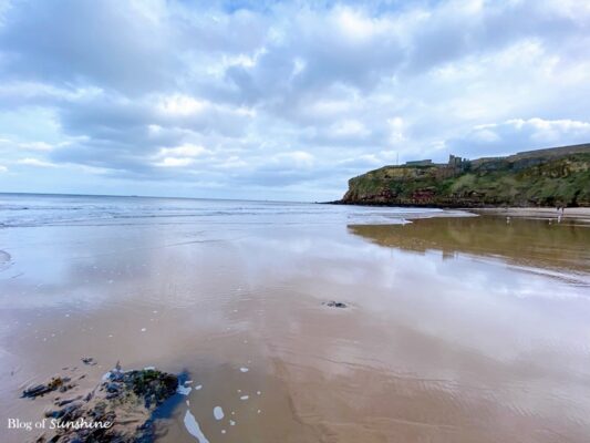 tynemouth-trip-king-edwards-bay