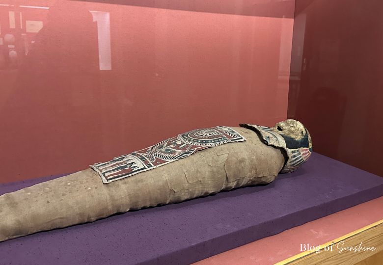 Egyptian mummy wrapped in linen on display at Cliffe Castle Museum in Keighley