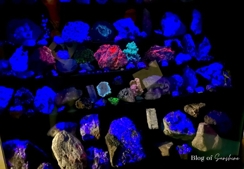 Glowing fluorescent rocks under UV light in Cliffe Castle Museum Keighley