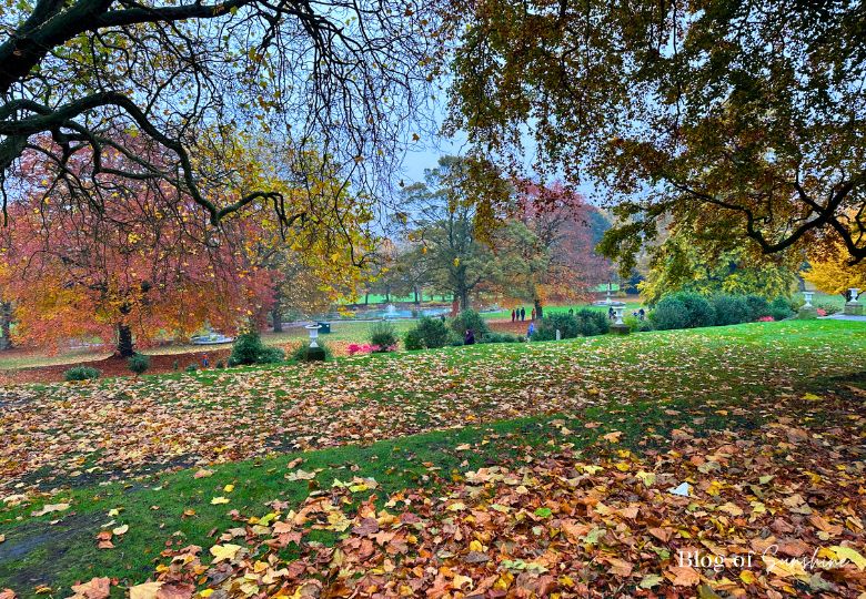 Autumn trees and fallen leaves in the gardens at Cliffe Castle Keighley