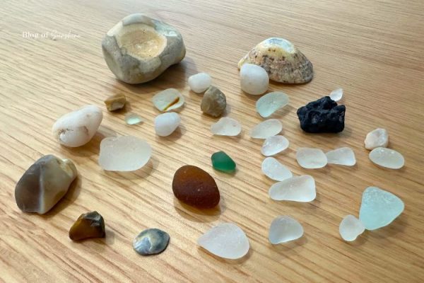 Seaham Hall Beach sea glass guide with shells and pebbles collected from the shoreline