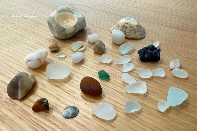 Seaham Hall Beach sea glass guide with shells and pebbles collected from the shoreline