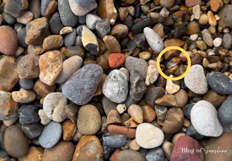 Small piece of sea glass hidden among pebbles on Seaham Hall Beach highlighted with a yellow circle