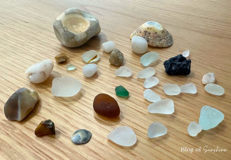 Collection of sea glass, shells, sea coal and pebbles found at Seaham Hall Beach