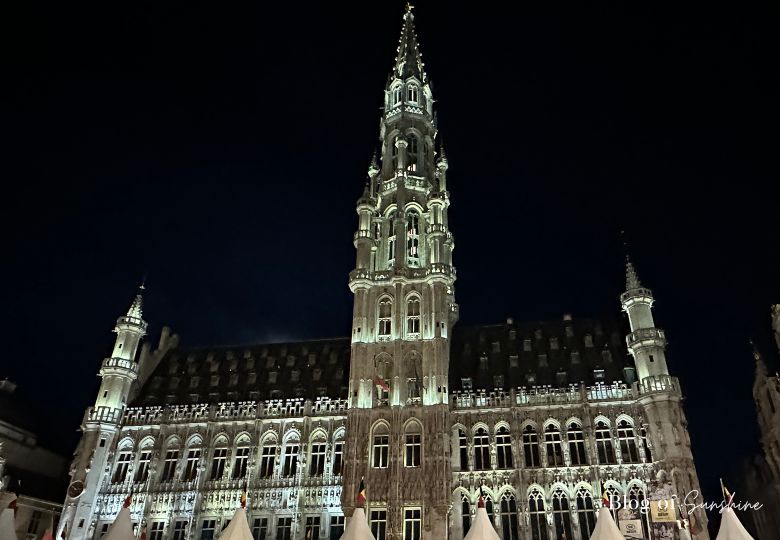 Grand Place Town Hall illuminated at night during Brussels Beer Festival