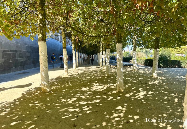 Shady walkway with painted trees in Mont des Arts Brussels