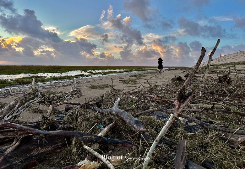 Person walking along St Anne’s beach beside driftwood and tidal marshes at sunset
