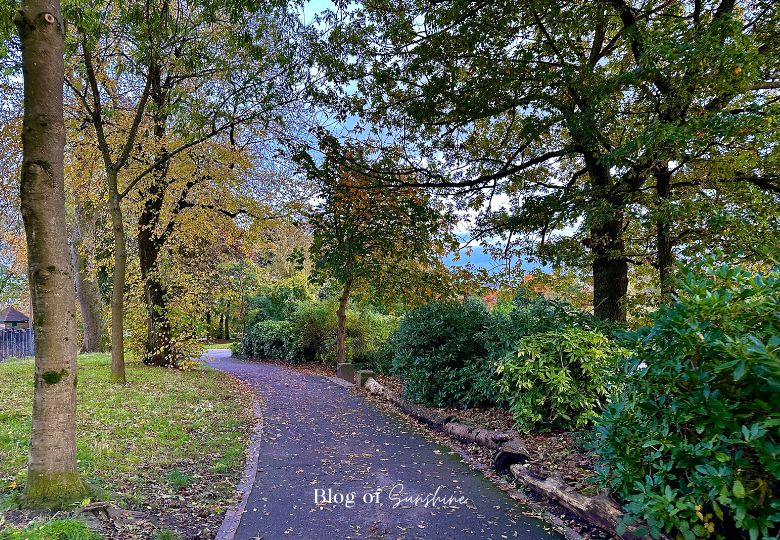 Tree-lined autumn path on the circular walking route in Greenhead Park Huddersfield