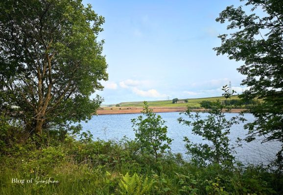 First glimpse of Baitings Reservoir through trees with the dam wall and green hills in the distance near the car park