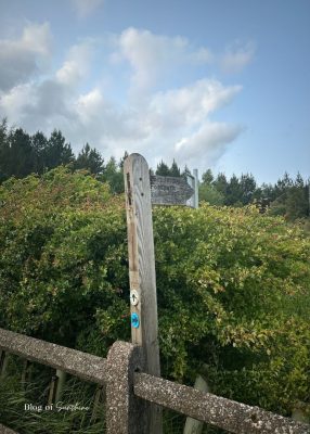 Wooden public footpath sign beside bushes and trees showing where to rejoin the main path around Baitings Reservoir