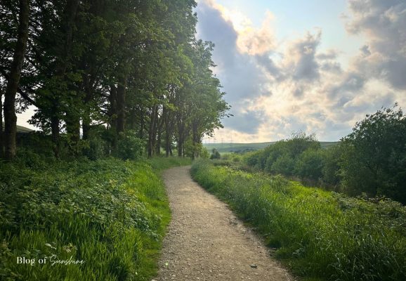 Gravel path lined with trees and greenery along the left side of Baitings Reservoir on the circular walk