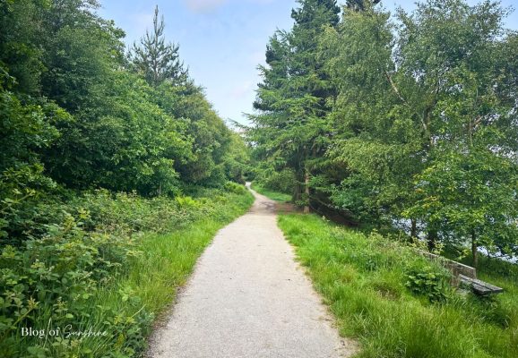 Woodland path with trees and greenery along the far shore of Baitings Reservoir circular walk