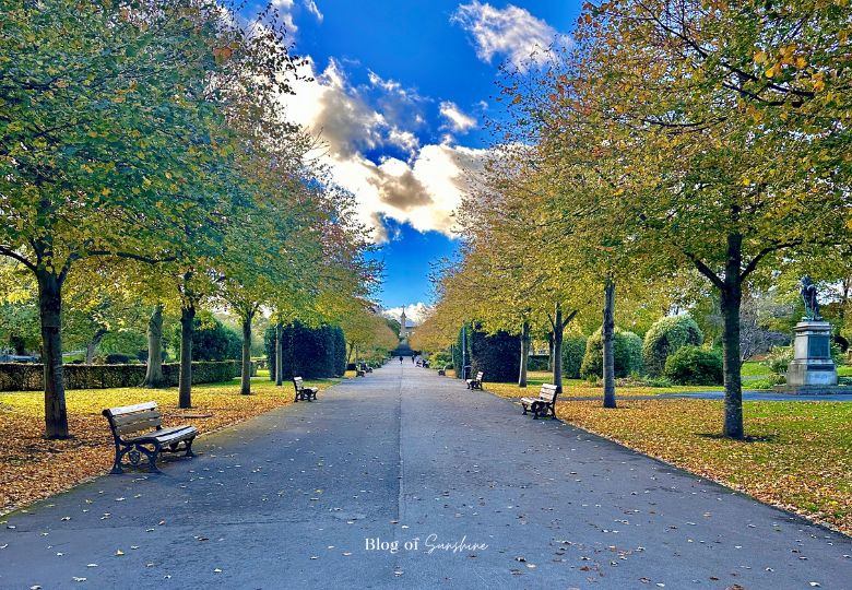 Long tree-lined avenue with benches in Greenhead Park Huddersfield during autumn
