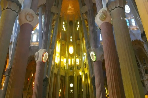 Interior of the Sagrada Família with golden afternoon light shining through stained glass and tall columns