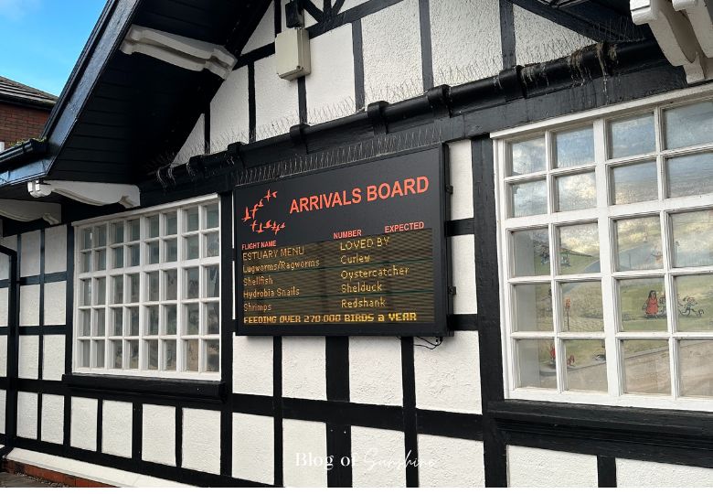 RSPB Ribble Discovery Centre arrivals board showing bird species and feeding habits at Fairhaven Lake