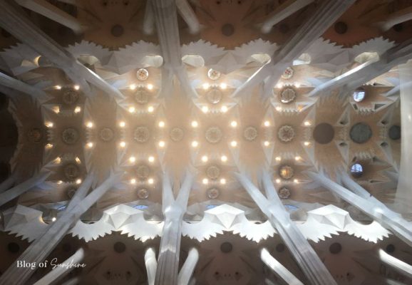 View looking up at the geometric ceiling and columns of the Sagrada Família