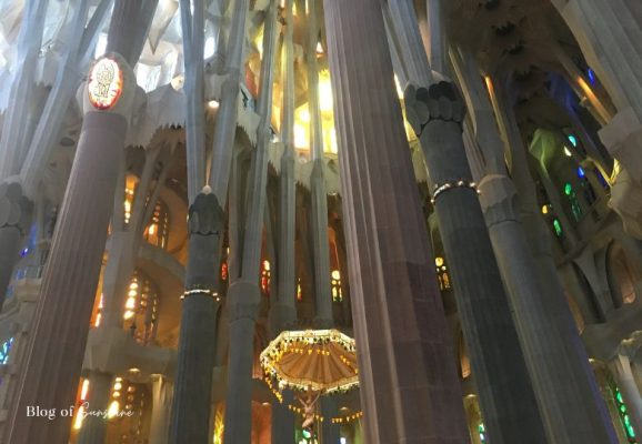 Interior columns of the Sagrada Família lit by both warm and cool stained glass