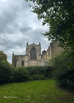 Hexham Abbey rising above trees and a green lawn in Hexham, Northumberland
