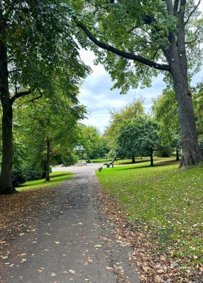 Tree-lined path leading through Hexham park towards the bandstand