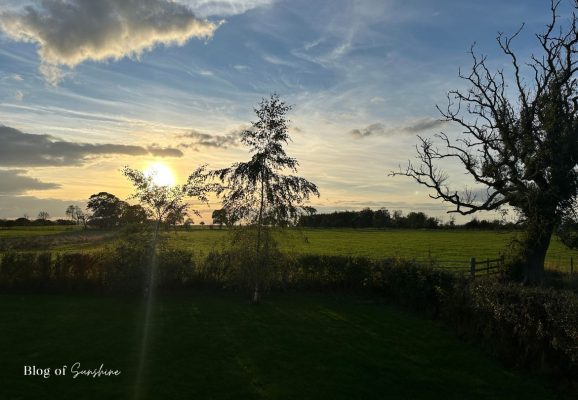 Sunset over green fields and trees in the Northumberland countryside near Hexham