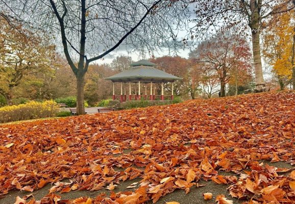 Beaumont Park bandstand in Huddersfield surrounded by orange autumn leaves and trees.
