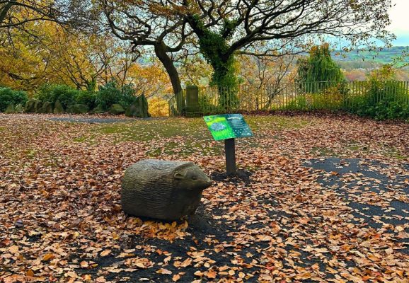 Carved hedgehog sculpture beside a wildlife information sign, surrounded by autumn leaves at Beaumont Park in Huddersfield.